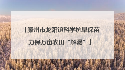 滕州市龙阳镇科学抗旱保苗 力保万亩农田“解渴”