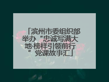 滨州市委组织部举办“忠诚写满大地·榜样引领前行”党课故事汇