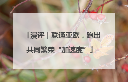 漫评｜联通亚欧，跑出共同繁荣“加速度”