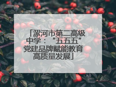 漯河市第二高级中学：“五五五”党建品牌赋能教育高质量发展