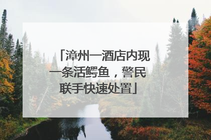 漳州一酒店内现一条活鳄鱼，警民联手快速处置