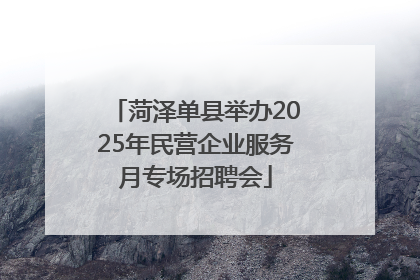 菏泽单县举办2025年民营企业服务月专场招聘会