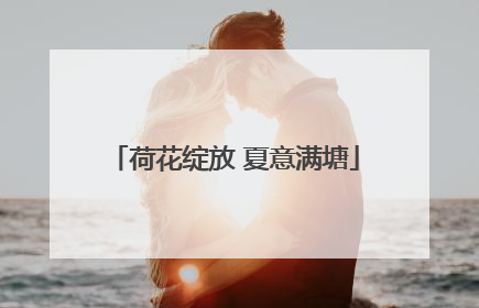 荷花绽放 夏意满塘