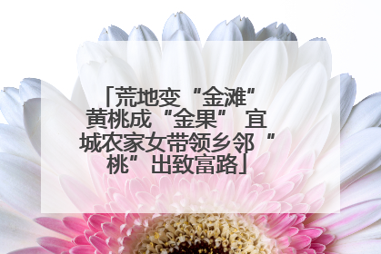 荒地变“金滩” 黄桃成“金果” 宜城农家女带领乡邻“桃”出致富路