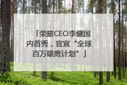 荣耀CEO李健国内首秀，官宣“全球百万雄鹰计划”