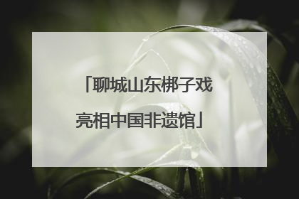 聊城山东梆子戏亮相中国非遗馆