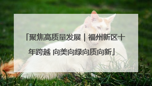 聚焦高质量发展｜福州新区十年跨越 向美向绿向质向新