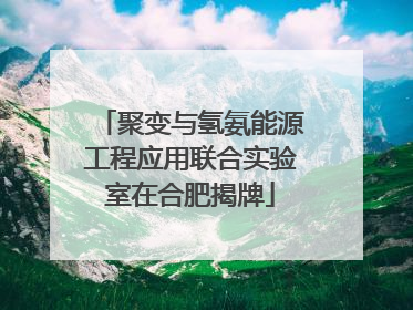 聚变与氢氨能源工程应用联合实验室在合肥揭牌