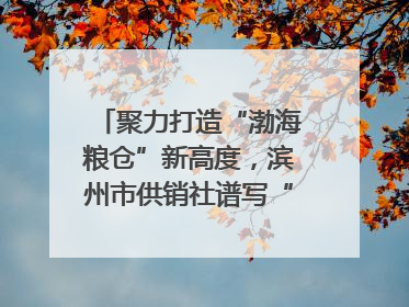 聚力打造“渤海粮仓”新高度，滨州市供销社谱写“三夏”丰收乐章