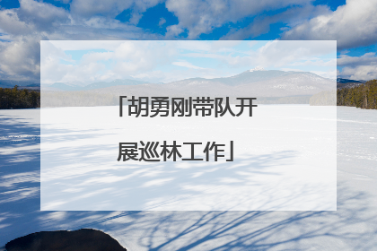 胡勇刚带队开展巡林工作