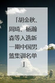 胡金秋、周琦、杨瀚森等入选新一期中国男篮集训名单