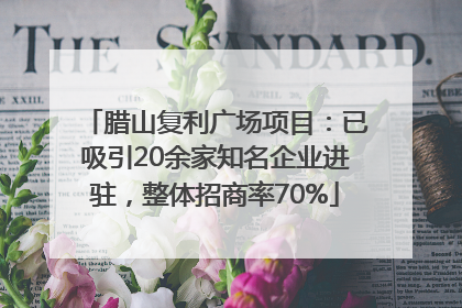腊山复利广场项目：已吸引20余家知名企业进驻，整体招商率70%