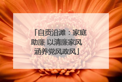 自贡沿滩：家庭助廉 以清廉家风涵养党风政风