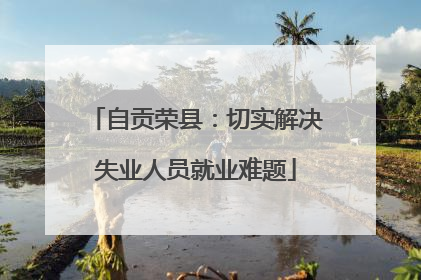 自贡荣县：切实解决失业人员就业难题