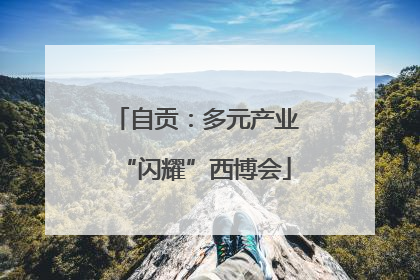 自贡：多元产业“闪耀”西博会