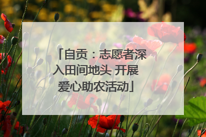 自贡：志愿者深入田间地头 开展爱心助农活动