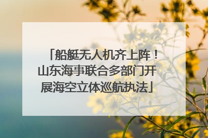 船艇无人机齐上阵！山东海事联合多部门开展海空立体巡航执法