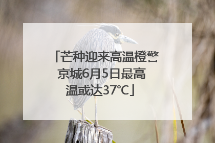 芒种迎来高温橙警 京城6月5日最高温或达37℃
