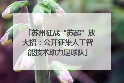 苏州征战“苏超”放大招：公开征集人工智能技术助力足球队