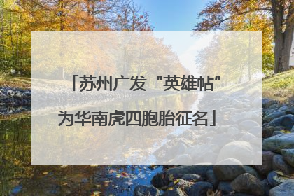 苏州广发“英雄帖”为华南虎四胞胎征名