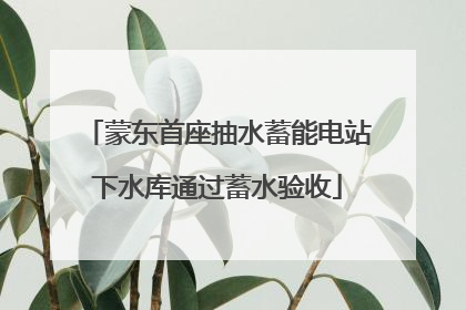 蒙东首座抽水蓄能电站下水库通过蓄水验收