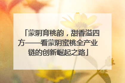 蒙阴育桃韵，甜香溢四方——看蒙阴蜜桃全产业链的创新崛起之路