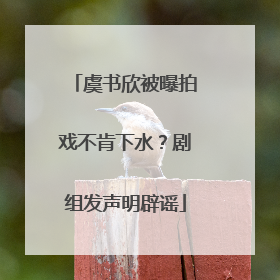 虞书欣被曝拍戏不肯下水？剧组发声明辟谣