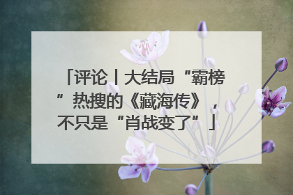 评论丨大结局“霸榜”热搜的《藏海传》，不只是“肖战变了”