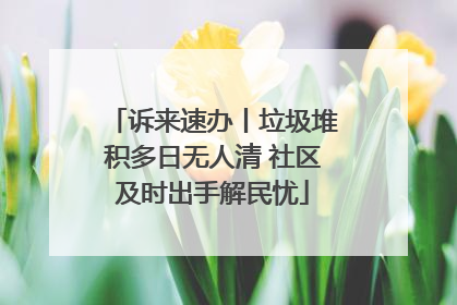 诉来速办丨垃圾堆积多日无人清 社区及时出手解民忧