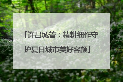 许昌城管：精耕细作守护夏日城市美好容颜