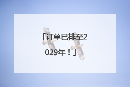 订单已排至2029年！