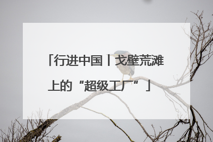行进中国丨戈壁荒滩上的“超级工厂”