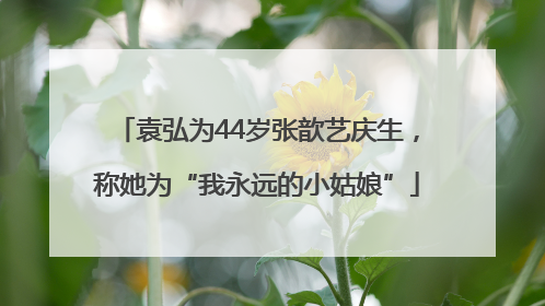 袁弘为44岁张歆艺庆生，称她为“我永远的小姑娘”