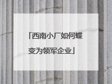 西南小厂如何蝶变为领军企业