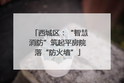 西城区：“智慧消防”筑起平房院落“防火墙”