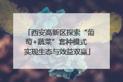 西安高新区探索“葡萄+蔬菜”套种模式 实现生态与效益双赢