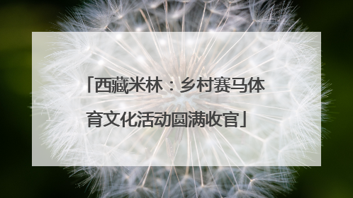 西藏米林：乡村赛马体育文化活动圆满收官