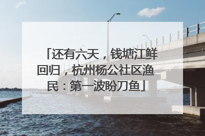 还有六天，钱塘江鲜回归，杭州杨公社区渔民：第一波盼刀鱼