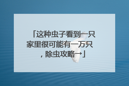这种虫子看到一只家里很可能有一万只，除虫攻略→