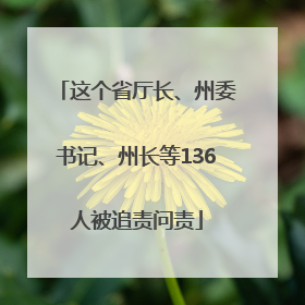 这个省厅长、州委书记、州长等136人被追责问责