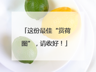 这份最佳“赏荷图”，请收好！