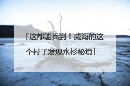这都能找到！威海的这个村子发现水杉秘境