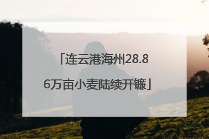 连云港海州28.86万亩小麦陆续开镰