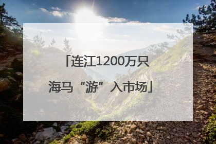 连江1200万只海马“游”入市场