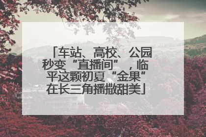 车站、高校、公园秒变“直播间”，临平这颗初夏“金果”在长三角播撒甜美