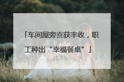 车间屋旁喜获丰收，职工种出“幸福餐桌”