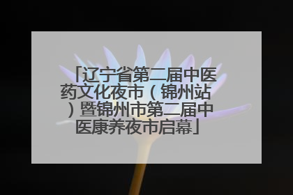 辽宁省第二届中医药文化夜市（锦州站）暨锦州市第二届中医康养夜市启幕