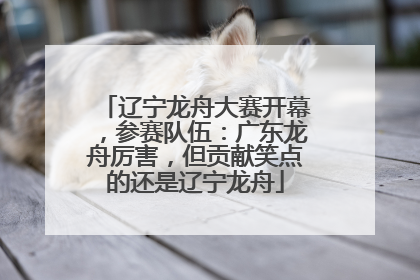 辽宁龙舟大赛开幕，参赛队伍：广东龙舟厉害，但贡献笑点的还是辽宁龙舟