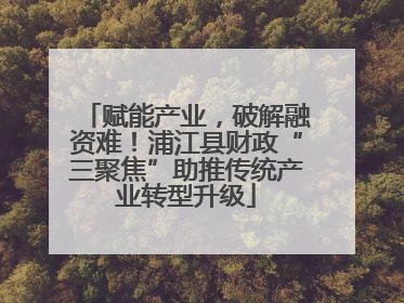 赋能产业，破解融资难！浦江县财政“三聚焦”助推传统产业转型升级