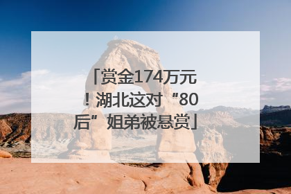 赏金174万元！湖北这对“80后”姐弟被悬赏